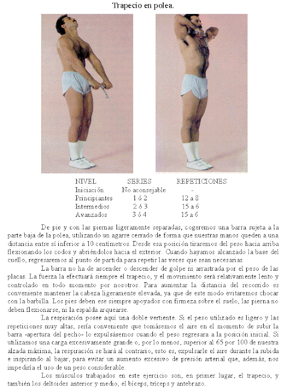 Las firmas por el aumento del pecho